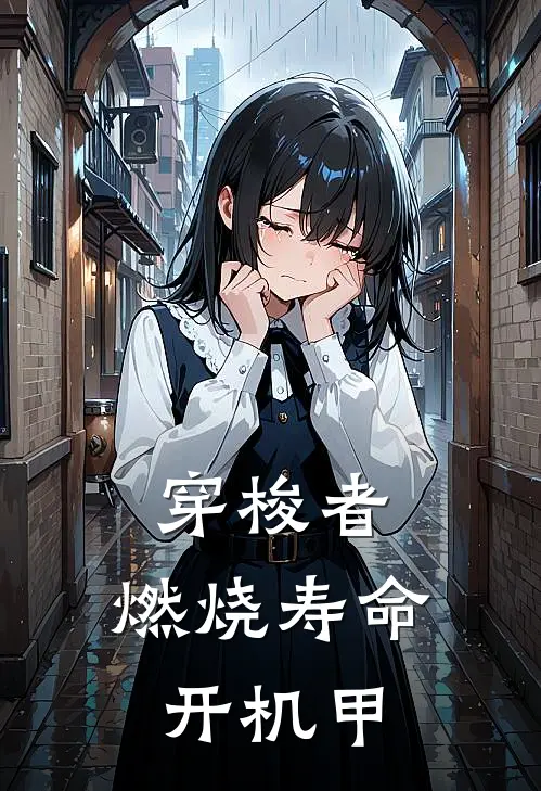 穿梭者：燃烧寿命开机甲