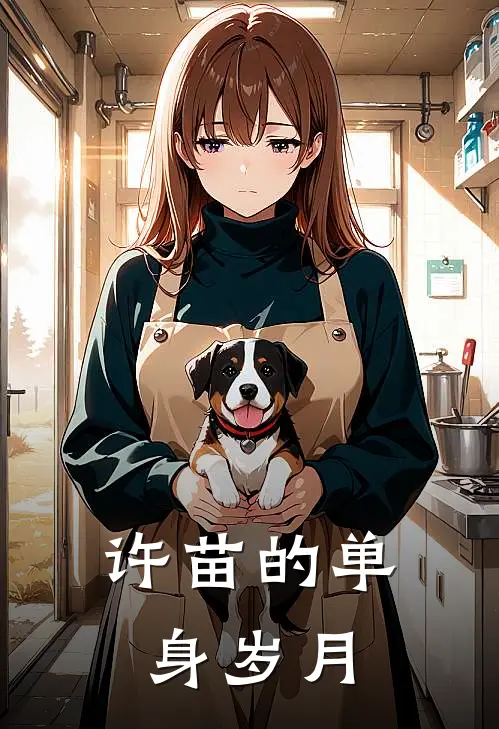 许苗的单身岁月